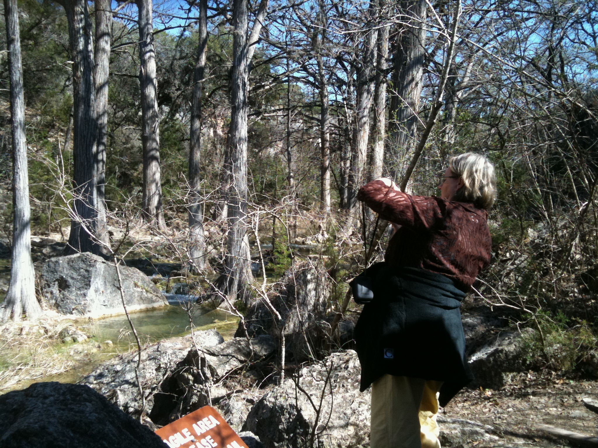 2010-03-12-Hamilton Pool-09.jpg